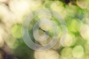 Summer natural background with bokeh, blurred abstract image