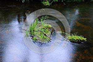 Summer natural background with transparent water and green leaves