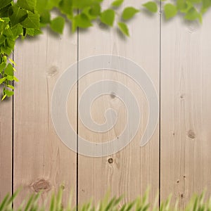 Summer natural backgrounds