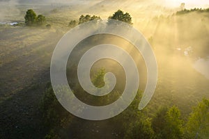 Summer nature background. Aerial landscape of nature in fog at sunrise. Misty morning on riverside in sunlight. Scenery nature in