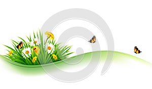 Summer nature background with grass, flowers and butterflies.