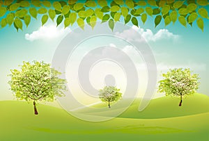 Summer nature background with a green trees and landscaper.