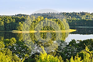 Summer nature landscape, lake