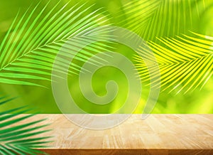 Summer and nature product display with wood table counter on blur coconut leaf background.fresh green tropical garden.For key