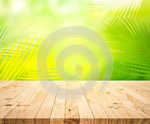 Summer and nature product display with wood table counter on blur coconut leaf background