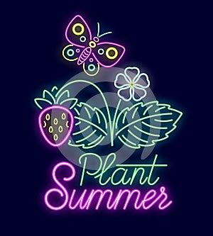 Summer neon sign with bright illumination. Butterfly fly above strawberry.