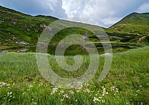 Summer Nesamovyte lake landscape, Chornohora ridge, Carpathian mountains, Ukraine