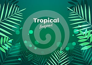 Summer night tropical background for banner or flyer with dark green palm leaves.