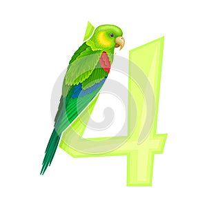 Summer Number with Bright Parrot Bird Vector Illustration