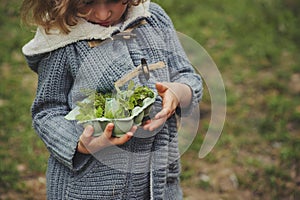 Summer outdoor activity for kids - scavenger hunt, leaves sorting in egg box