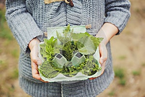 Summer outdoor activity for kids - scavenger hunt, leaves sorting in egg box