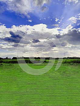 Summer outdoors beautiful blue sky, puffy clouds, cotton candy, cloudy photography