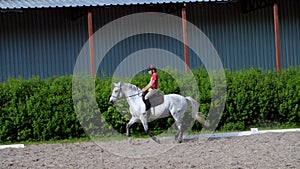 Summer, outdoors, boy rider, jockey riding on thoroughbred beautiful white stallion, horse, on the training sand field