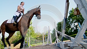 Summer, outdoors, girl rider, jockey riding on a thoroughbred beautiful brown stallion, horse, on the training ground