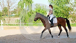 summer, outdoors, girl rider, jockey riding on a thoroughbred beautiful brown stallion, horse, on the training ground