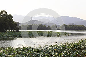 The Summer Palace in Beijing