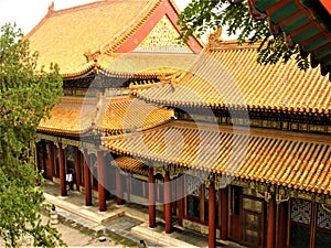 Summer Palace in Beijing, China. Traditional building, time and history