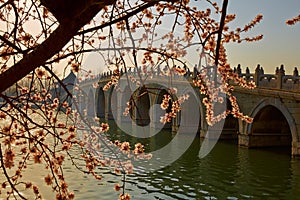 The Summer Palace, Beijing spring, China