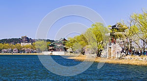 The summer palace in beijing spring peach