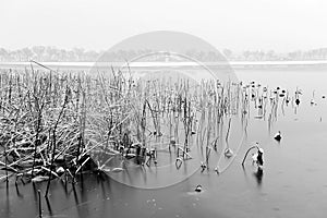 Summer palace after snow