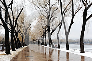 Summer palace after snow