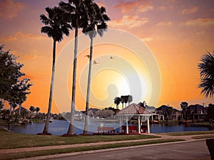 Summer palm trees walk sunset lake view sugar land walk park