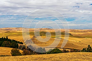 Summer in The Palouse, Washington