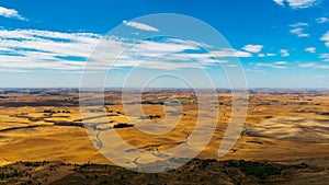 Summer in The Palouse, Washington