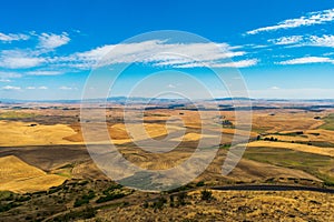 Summer in The Palouse, Washington