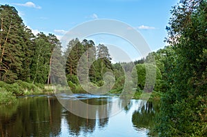 Summer panorama of the forest with a lake,