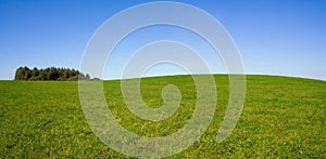 Summer panorama landscape with sky and field