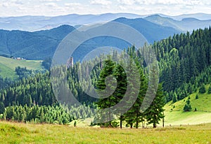 Summer panorama landscape of wooded mountains.