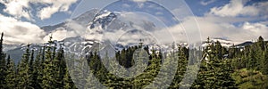 Summer Panorama of Mt Rainier from Paradise Parking Lot