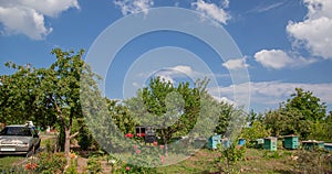 Summer panorama of a rural house and garden