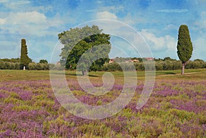 Summer panoramic landscape,green trees under a blue sky with fluffy clouds