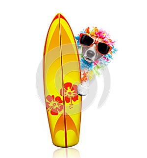 Summer paradise vacation surfer dog