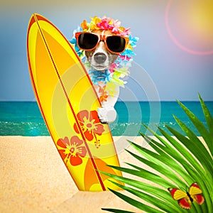 Summer paradise vacation surfer dog