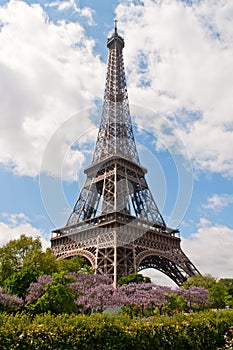 Summer in Paris