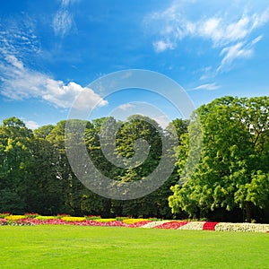 Summer park with beautiful flower beds and lawn