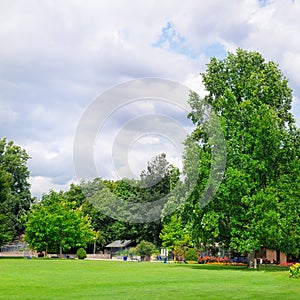 Summer park with beautiful flowers and lawn