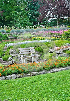 Summer park, bench in a garden, flowers, plants