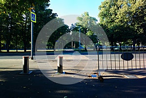 Summer park is blocked landscape backdrop