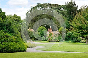 Summer park with green lawns