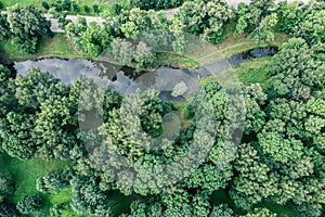 Summer park landscape. green deciduous trees on riverbank in summer day. aerial view