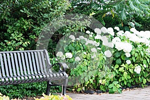 Summer park visit with seating bench