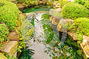 summer park with water .