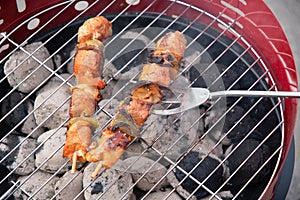 summer picnic with barbecue marinated chicken skewers with grilled vegetables