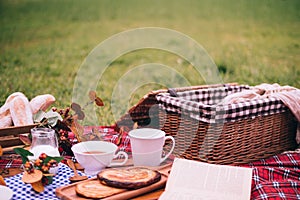 Summer picnic with a basket of food on blanket in the park.