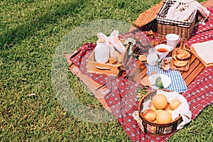 Summer picnic with a basket of food on blanket in the park.