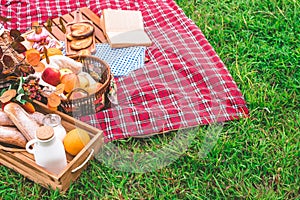 Summer picnic with a basket of food on blanket in the park. Free space for text